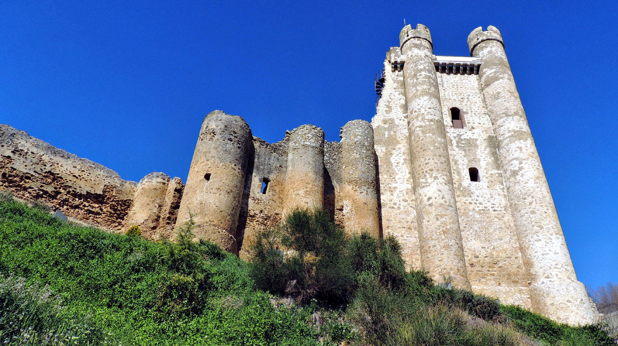 Castillo de Coyanza , Valencia de Don Juan